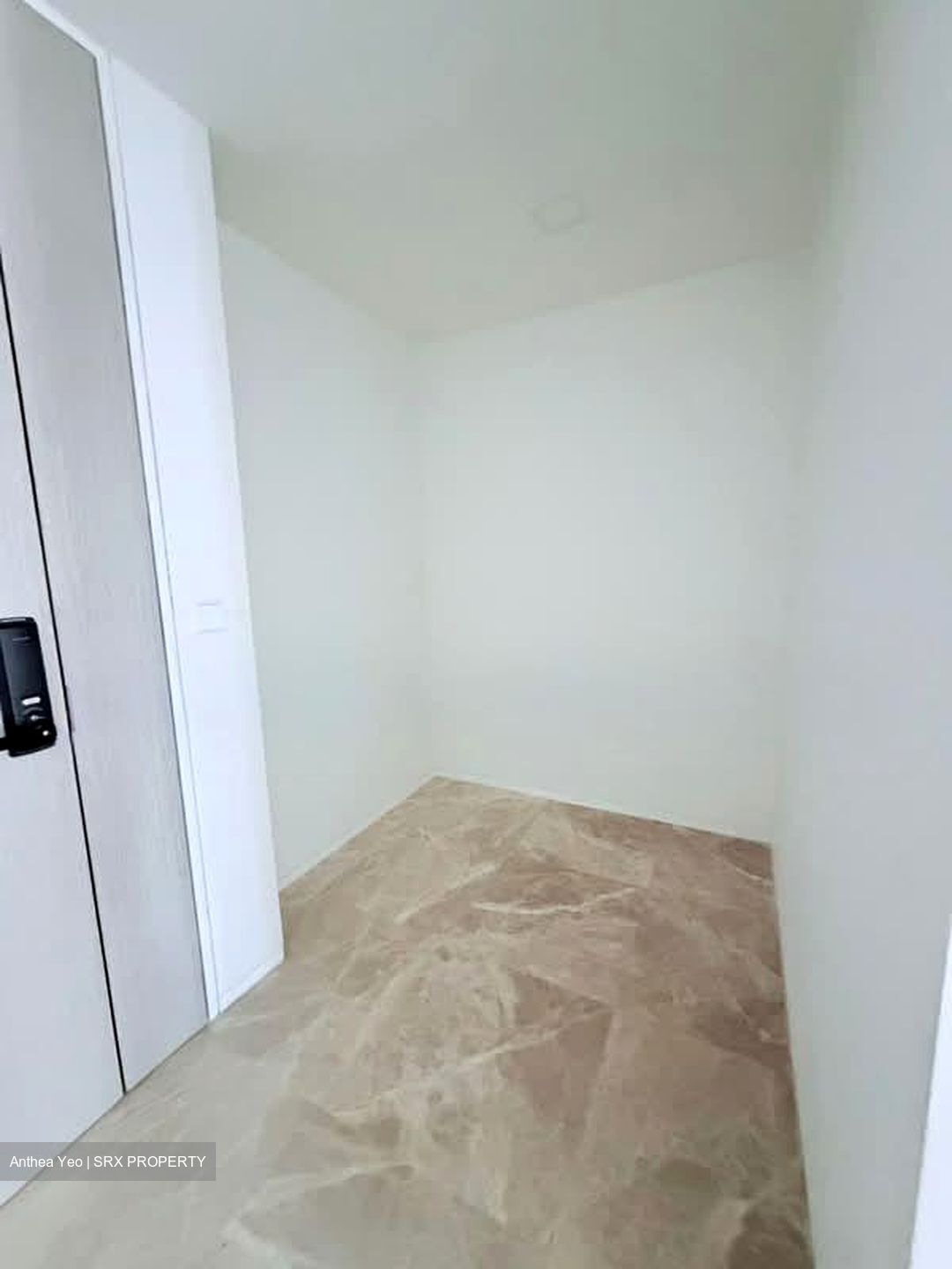 Amber Park (D15), Condominium #583900121